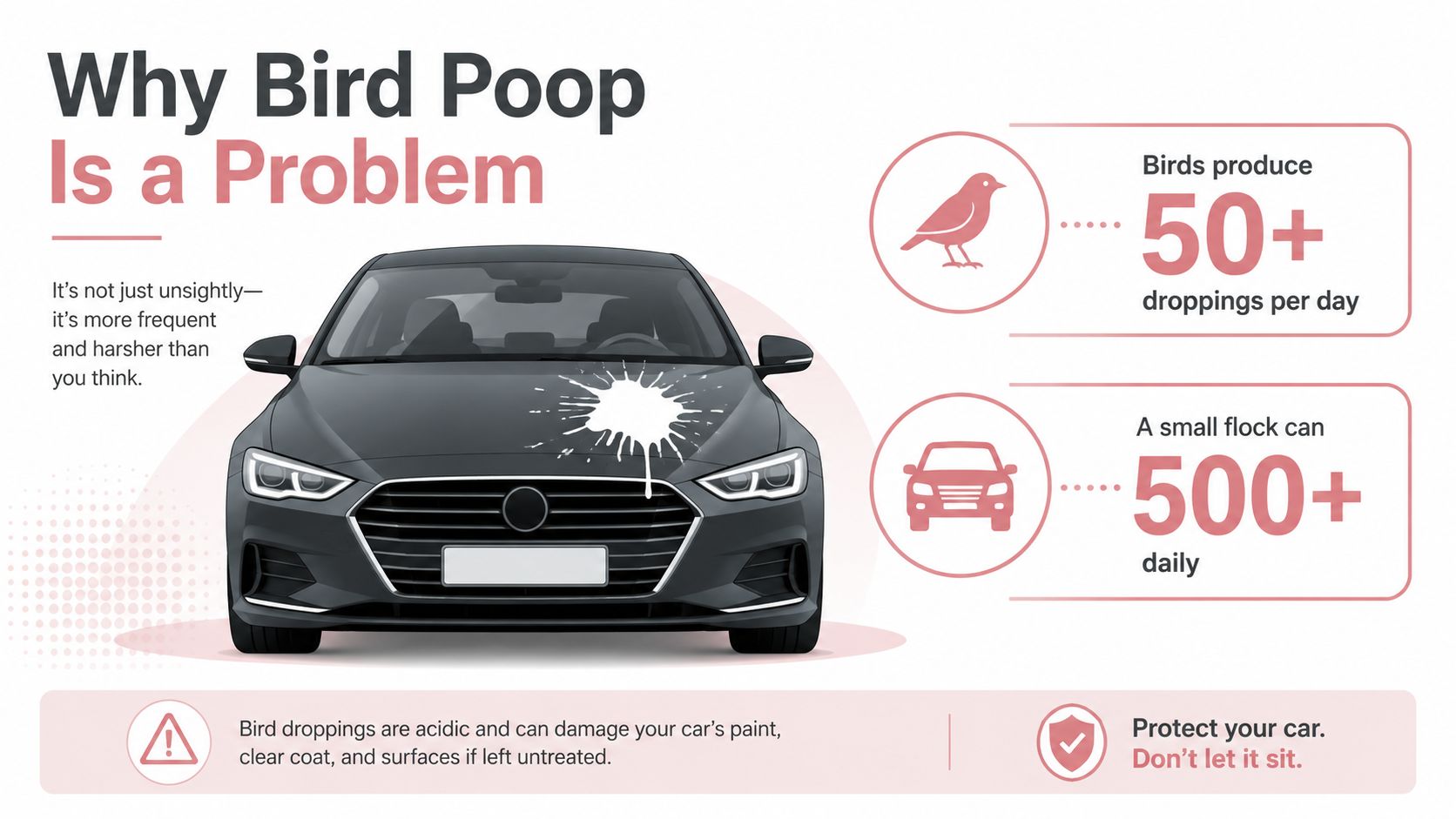 How to Clean Bird Poop Without Ruining the Surface