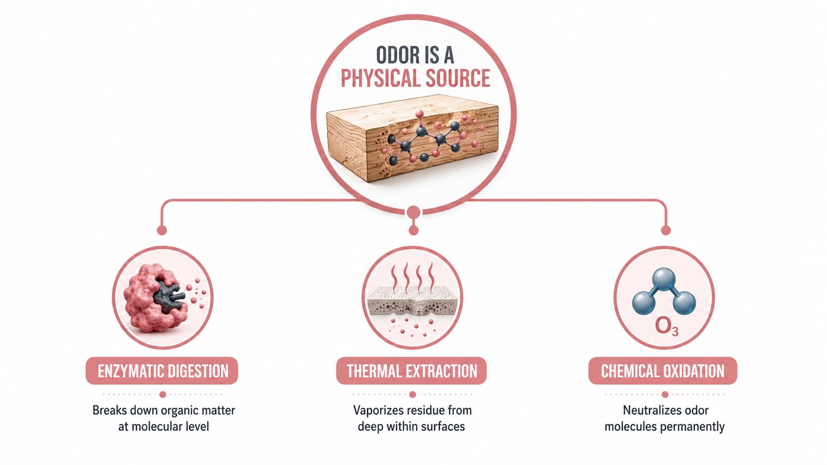 Odor Removal Service: What Pros Actually Do to Clear Smells